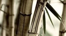 Umwelt - Soorce arbeitet CO2 neutral