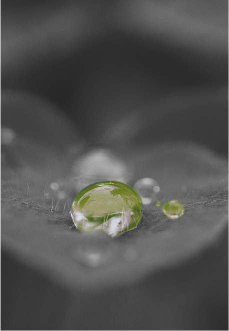 Umwelt